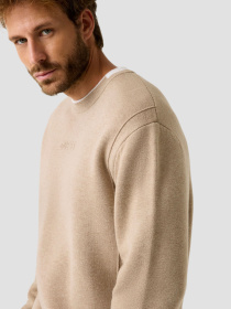 Чоловічий бежевий джемпер модель Z5BQ19.Z0960;G9D0 Фото