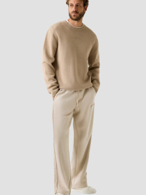 Чоловічий бежевий джемпер модель Z5BQ19.Z0960;G9D0 Фото