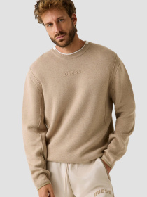 Чоловічий бежевий джемпер модель Z5BQ19.Z0960;G9D0 Фото