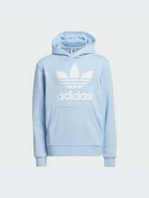 Худи и свитшоты Adidas Adicolor модель FI0694-KZ Фото