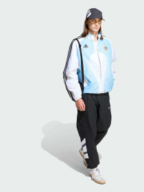 Спортивные брюки SANTIAGO модель KE3430 Спортивные брюки SANTIAGO модель KE3430 Фото