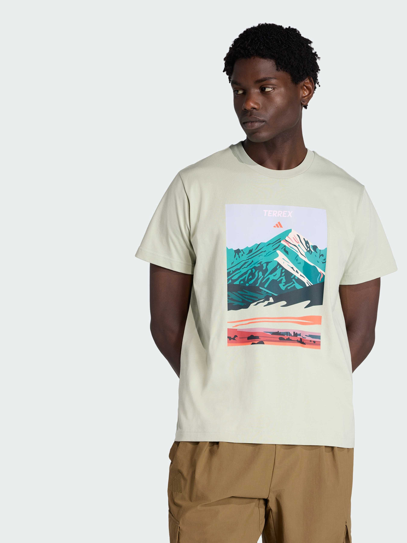 Футболка TERREX MOUNTAIN GRAPHIC модель KT3393 Фото