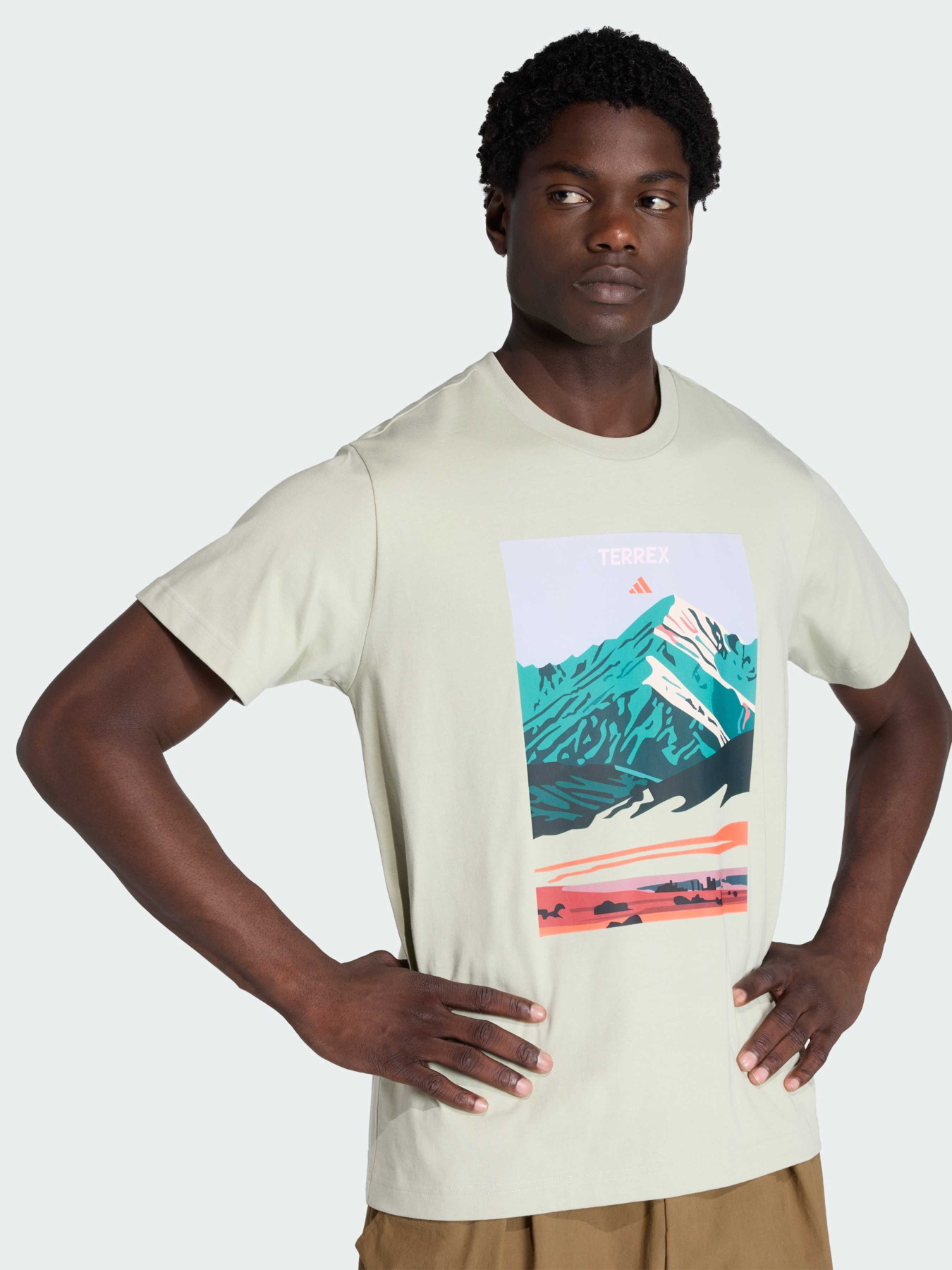 Футболка TERREX MOUNTAIN GRAPHIC модель KT3393 Фото