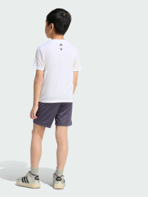 Спортивный комплект Adidas модель JZ3533 Фото