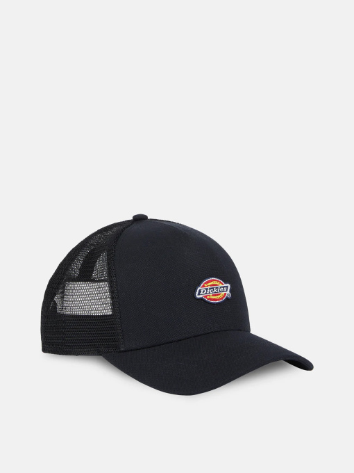 Шапки и кепки Dickies модель DK0A4YV3BLK1 Фото
