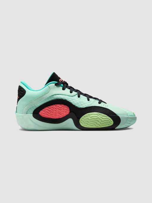 Кроссовки NIKE модель FJ6457-300 Фото