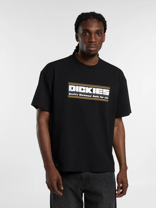 Футболки и поло Dickies модель DK0A88JGBLK1 Фото