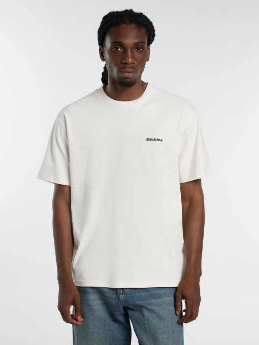 Футболки и поло Dickies модель DK0A89ENECR1 Фото