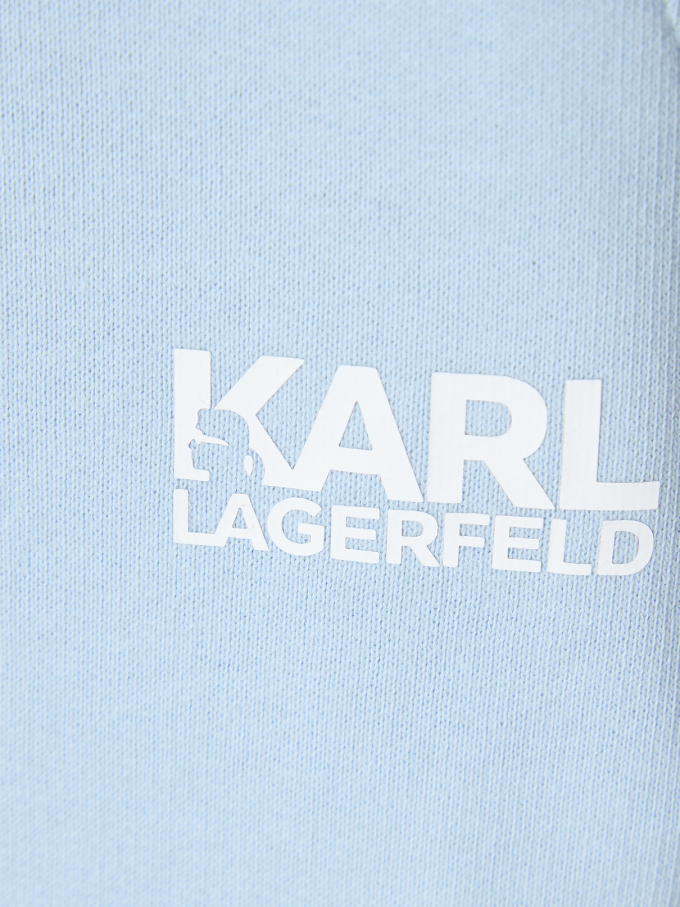 Повседневные шорты Karl Lagerfeld модель 561917.705783;600 Фото