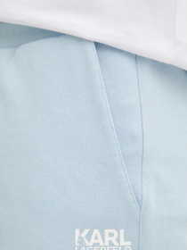 Повседневные шорты Karl Lagerfeld модель 561917.705783;600 Фото