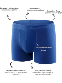 Набір трусів (3 шт.) модель UBB08DBL Фото