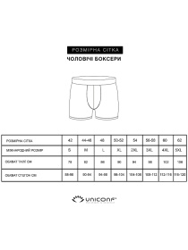 Набір трусів (3 шт.) модель UBB08DBL Фото