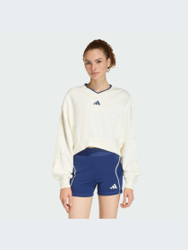 Худи и свитшоты Adidas модель JZ1074-KZ Фото