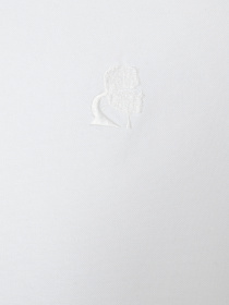 Рубашка Karl Lagerfeld модель 561784.605192;10 Фото