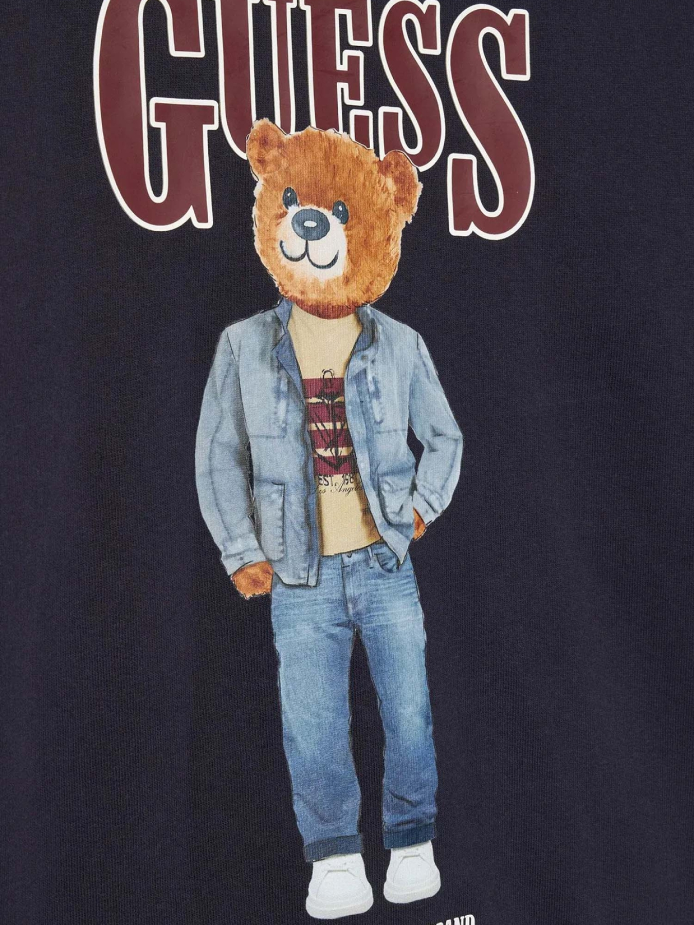 Худи и свитшоты GUESS Kids модель L6RQ05.KAD74;G7V2 Фото