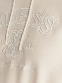 Худі GUESS модель V6RQ03.KD761;G012 Фото