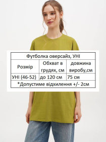 Футболка HiBrand модель Wm293 Фото