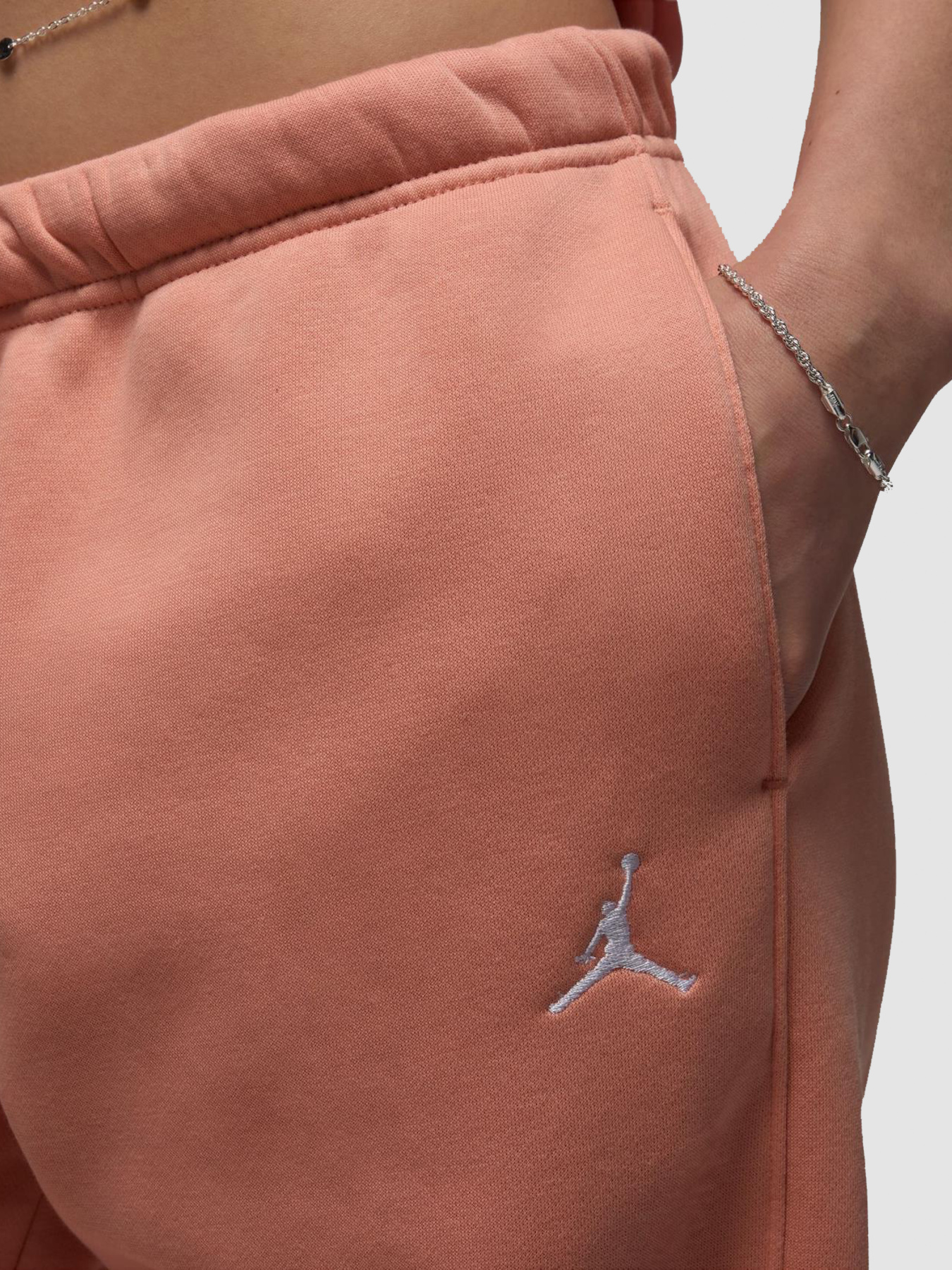 Джогери Jordan Brooklyn Fleece модель FV7077-823 Фото