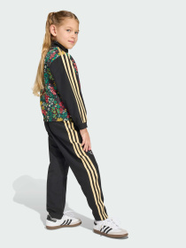 Спортивний костюм Adidas Graphics модель KD5937 Фото