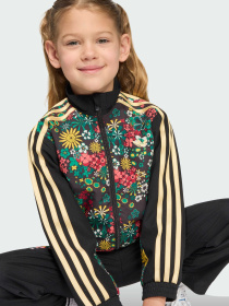 Спортивний костюм Adidas Graphics модель KD5937 Фото