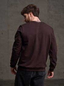 Толстовки модель GN-556_темно-коричневый Фото