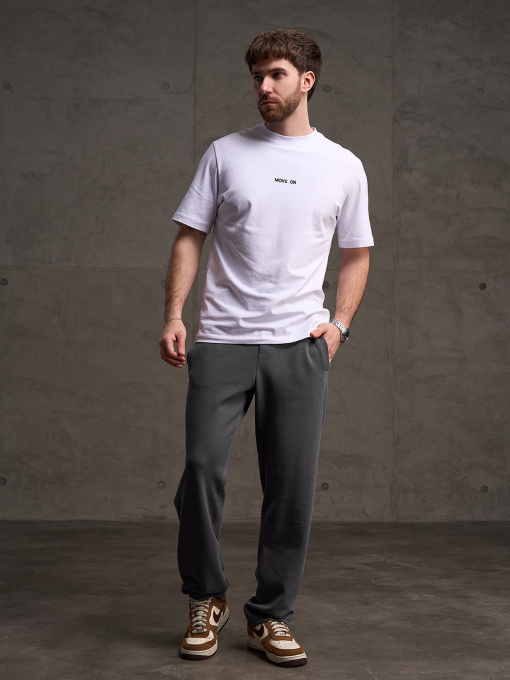 Спортивные штаны модель GN-564_серый Фото