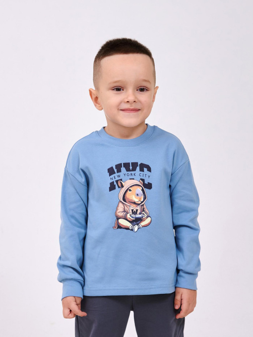 Худі та світшоти SMIL модель smil_116750-1-pepelno-goluboj Фото