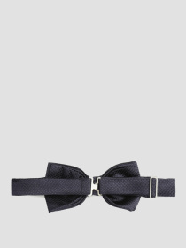Галстуки и воротнички Karl Lagerfeld модель 591151.805200;690 Фото