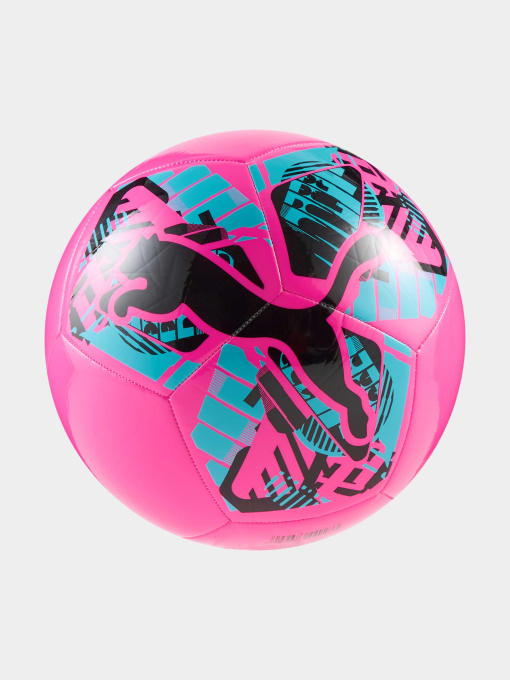 Мячи PUMA Big Cat Ball модель 084937 Фото