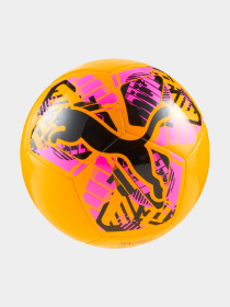 Мячи PUMA Big Cat Ball модель 084937 Фото