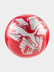 Мячи PUMA Big Cat Ball модель 084937 Фото