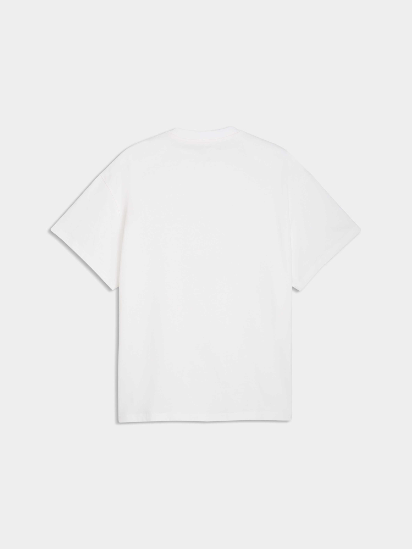 Футболка PUMA The Atw Dylan Tee Iiiii модель 635060 Фото