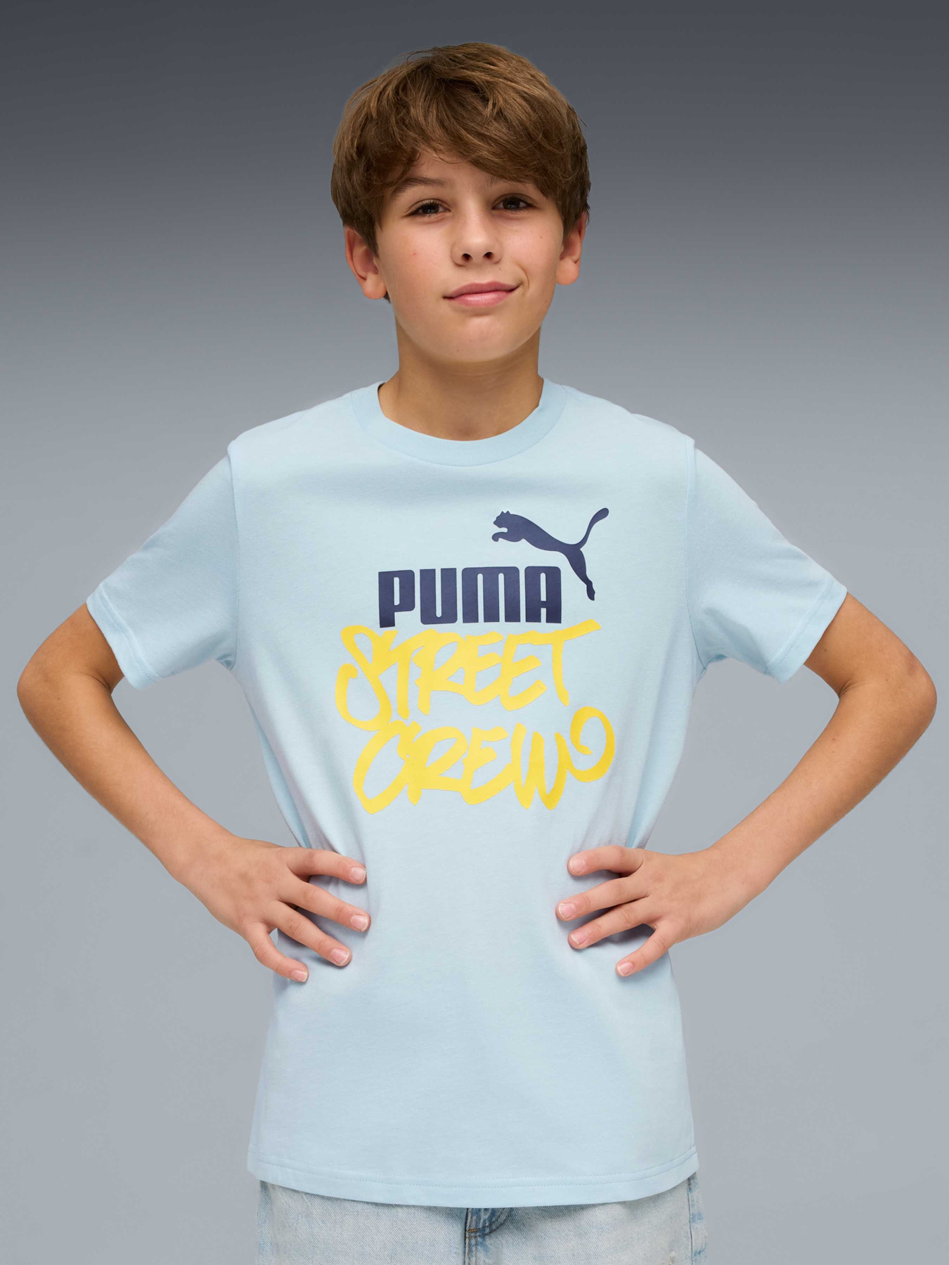 Футболка PUMA Mid90s Graphic Tee модель 692118 Фото