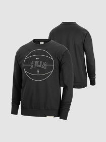 Кофта мужская Nike Chicago Bulls Standard Issue (FB3759-010) модель FB3759-010 Фото