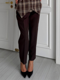 Брюки Зиора шоколад модель Ziora_chocolate Фото