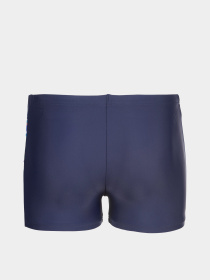 Детские плавки Arena LIT LOGO SWIM SHORT модель 010692-750 Детские плавки Arena LIT LOGO SWIM SHORT модель 010692-750 Фото