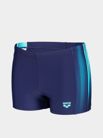Мужские плавки Arena LIGHT SWIM SHORT модель 010701-750 Фото