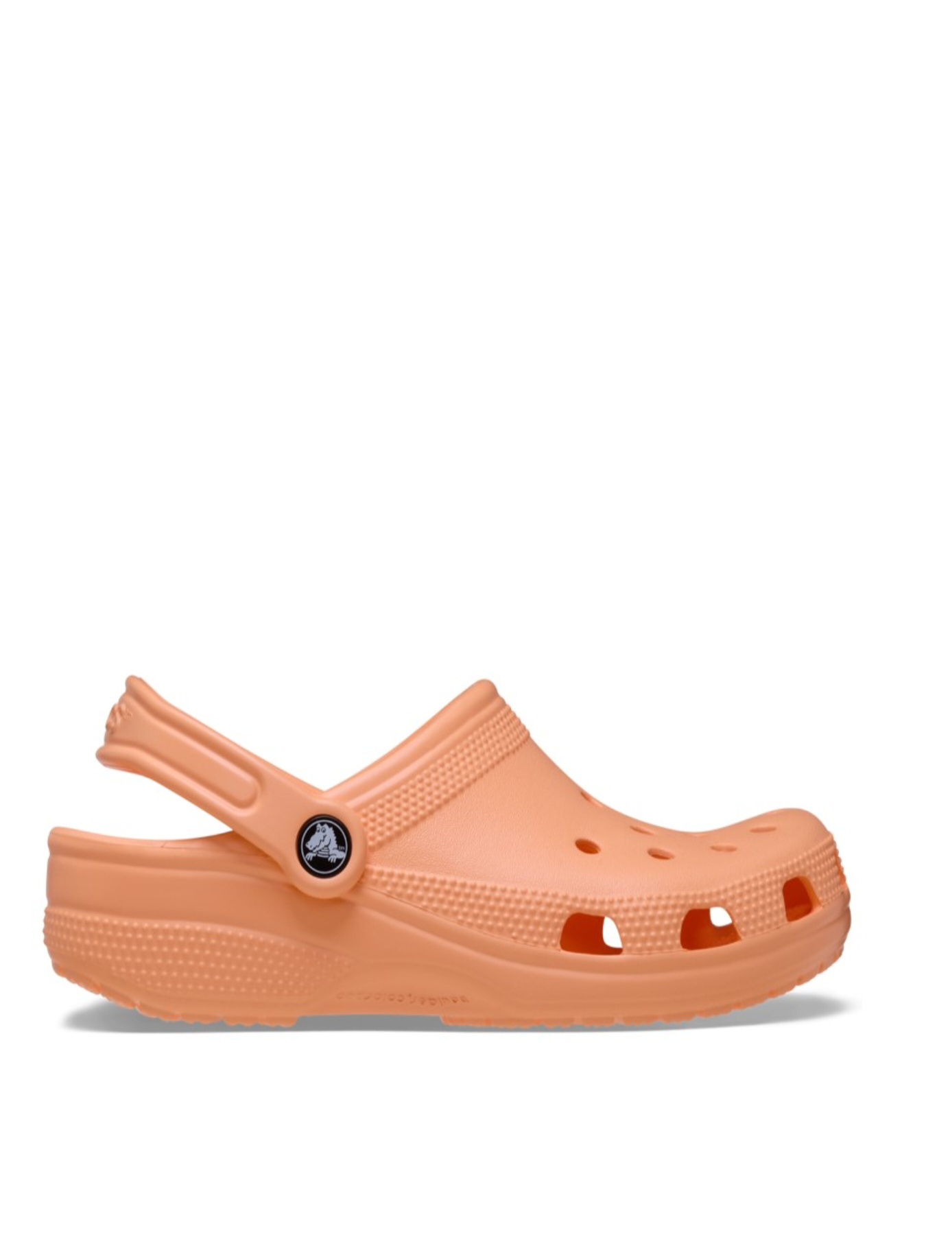 Сабо Crocs Classic Cayman модель 10001ELSUN Фото