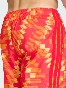 Плавальні шорти FOOTBALL-INSPIRED GRAPHIC SWIM SHORTS 5 INCH модель JY9164 Фото