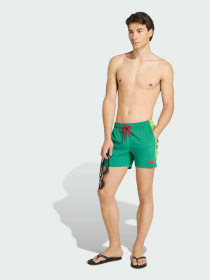 Плавальні шорти 3 STRIPES 5 INCH модель JY9789 Фото