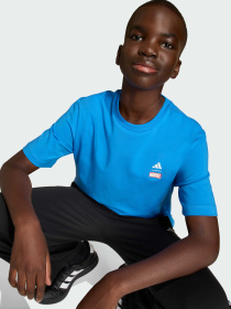 Футболка adidas Marvel Avengers Graphics модель JZ7674 Фото