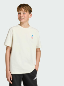 Футболка adidas Marvel Avengers Graphics модель JZ3557 Фото