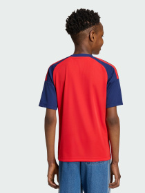 Спортивная футболка Adidas модель JZ5755 Фото