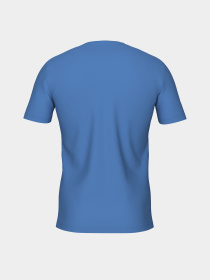 Чоловіча футболка Arena T-SHIRT TEAM модель 002701-810 Фото