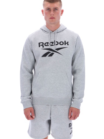 Худи и свитшоты Reebok VICTOR BIG LOGO PULLOVER модель 102248295 Фото