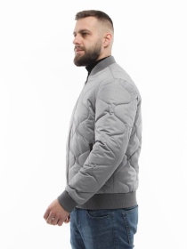 Демисезонная мужская куртка модель 135-DVL-grey Фото