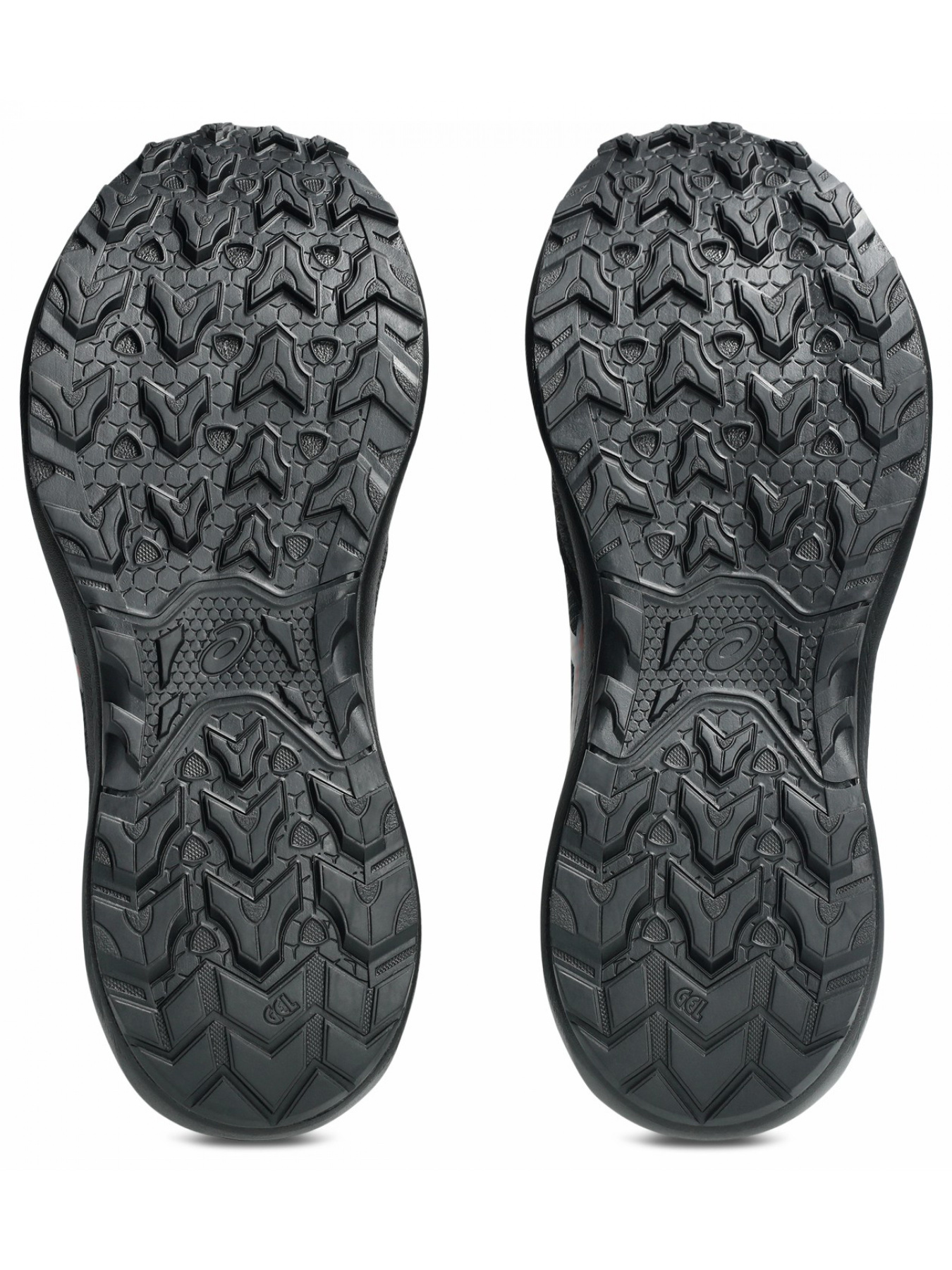 Кросівки трейл GEL-VENTURE 11 WATERPROOF модель 1011C159-001 Фото