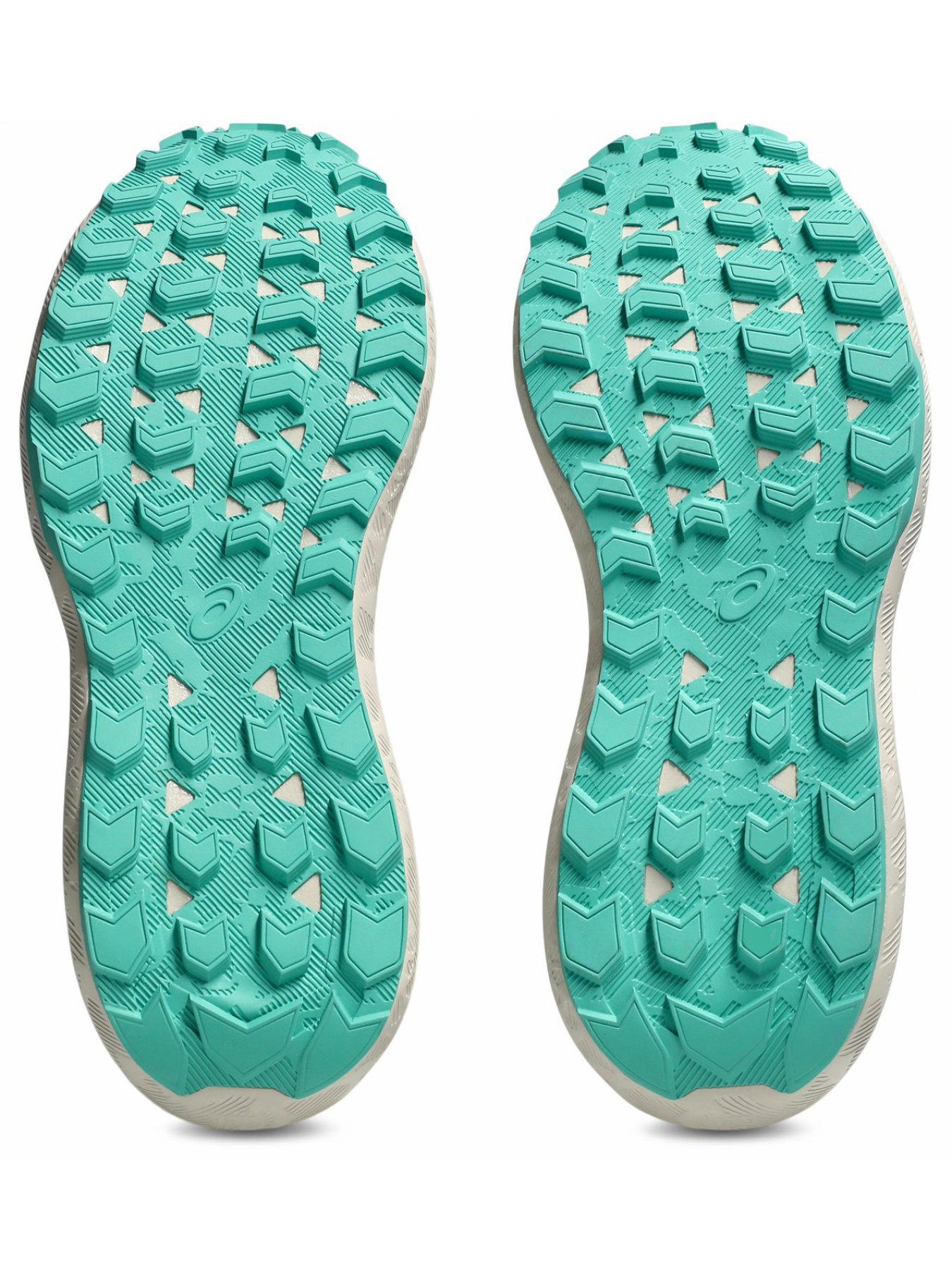 Кросівки трейл GEL-SONOMA 8 модель 1012B771-700 Фото