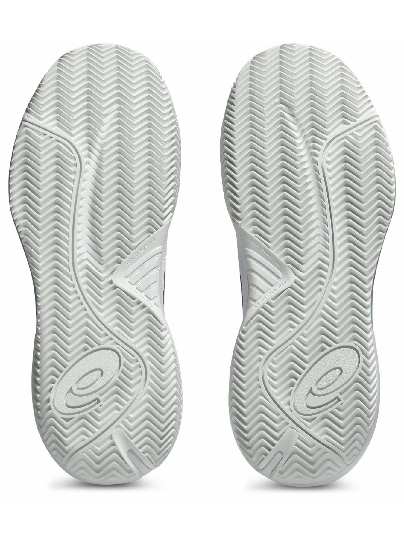 Кроссовки для тенниса GEL-CHALLENGER 15 CLAY модель 1041A508-102 Фото