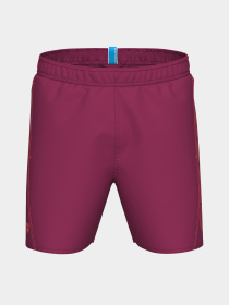 Чоловічі плавальні шорти Arena FUNDAMENTALS LOGO BOXER модель 006444-991 Фото